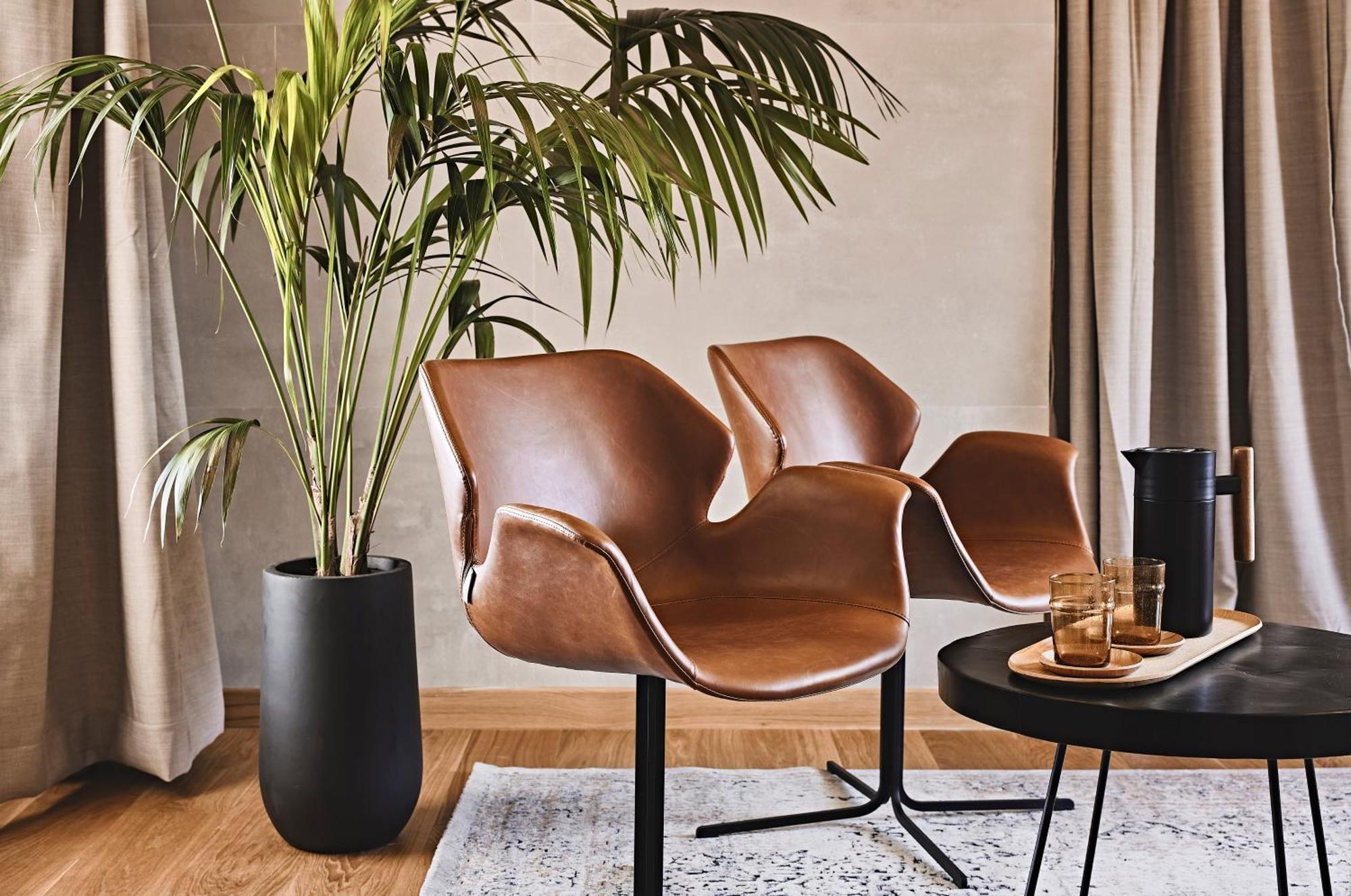 Cama Luxury Suites 아테네 객실 사진